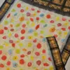 Heritage Gadwal Cotton Kalamkari Saree Masterpiece in Kuthu Interlock Weaving