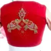 Luxury Red Elephant Zardosi Maggam Blouse Designer Bridal High Neck Style