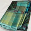 Pure Gold Zari Kanchipuram Handloom Saree | Laser Kalamkari on Pure Silk with Authentic Oil Colours