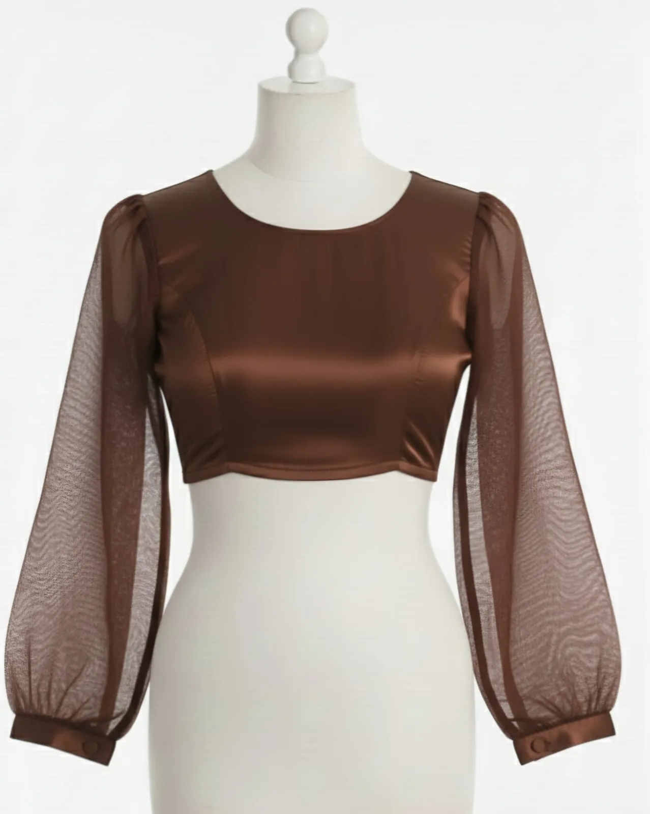 Brown Sheer Sleeve Saree Blouse with High Neck  Designer Ready to Wear Perfection